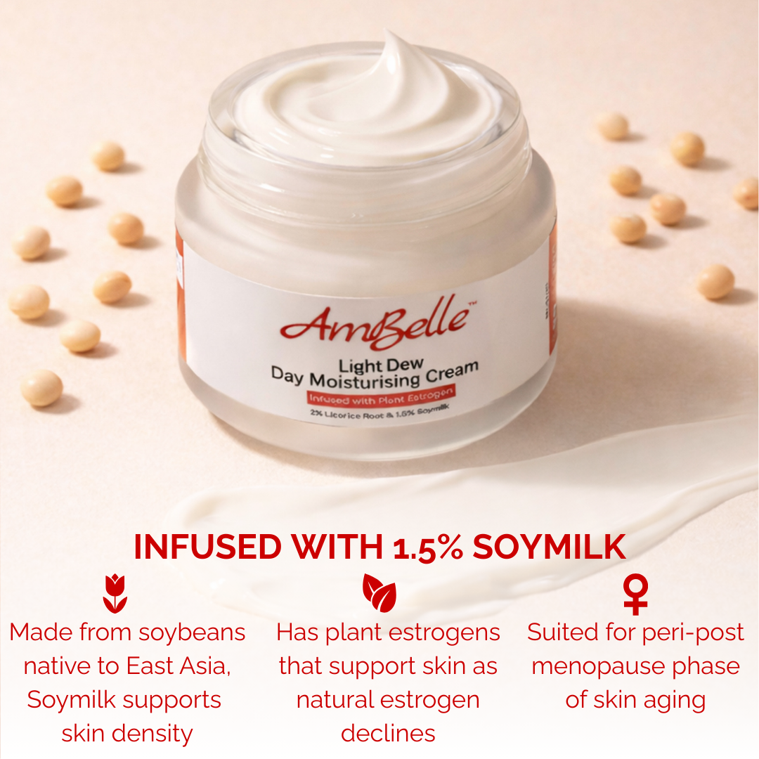 Light Dew Day Moisturising Cream