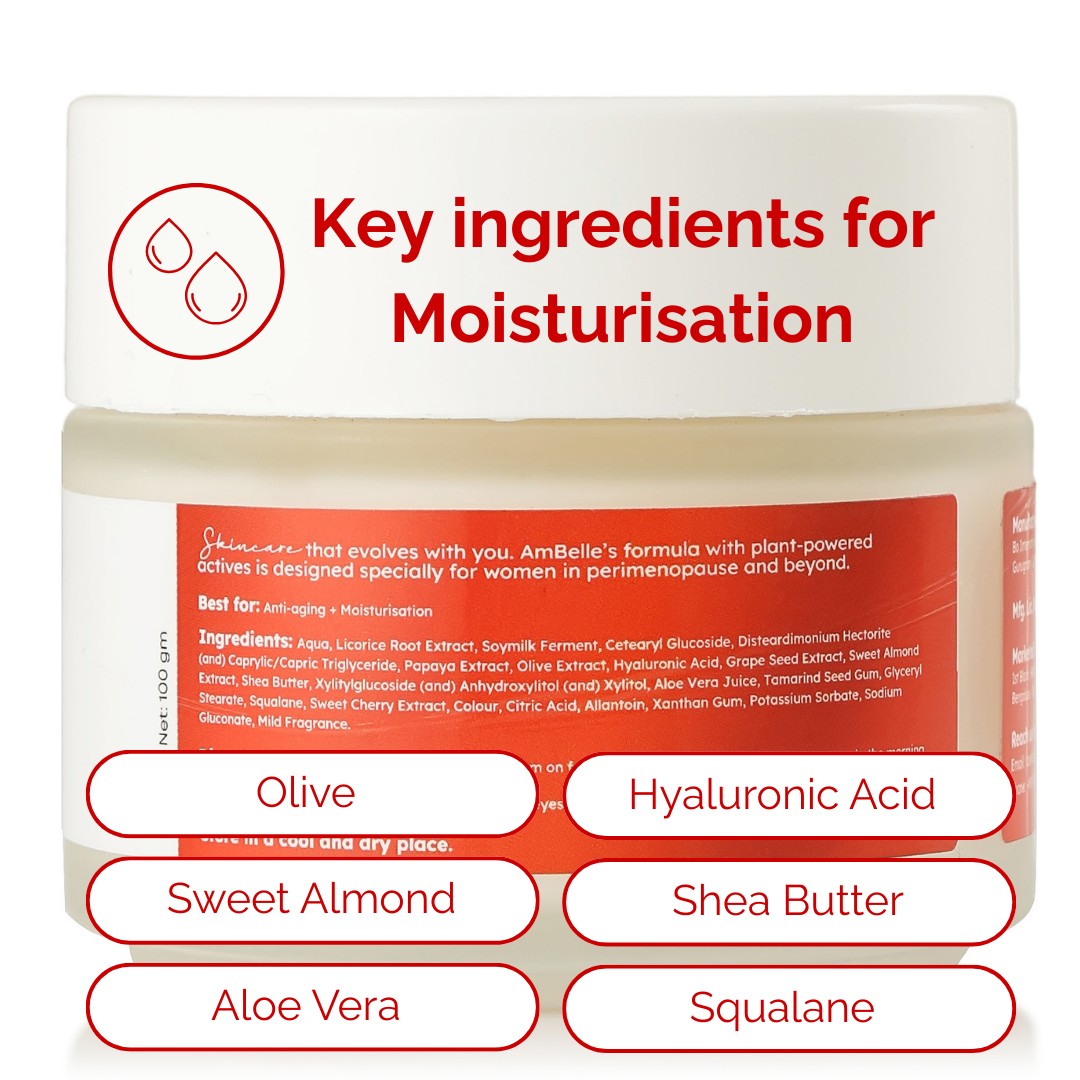 Light Dew Day Moisturising Cream